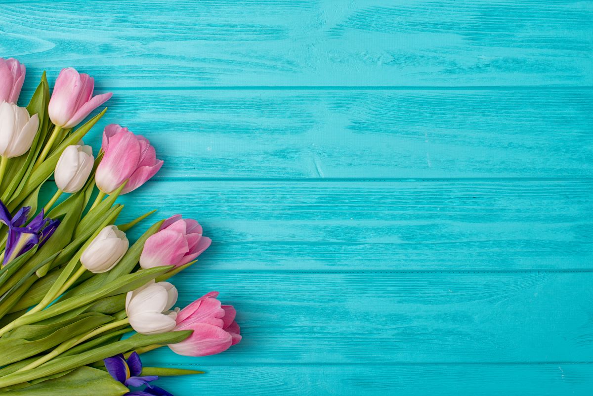 Mother's Day